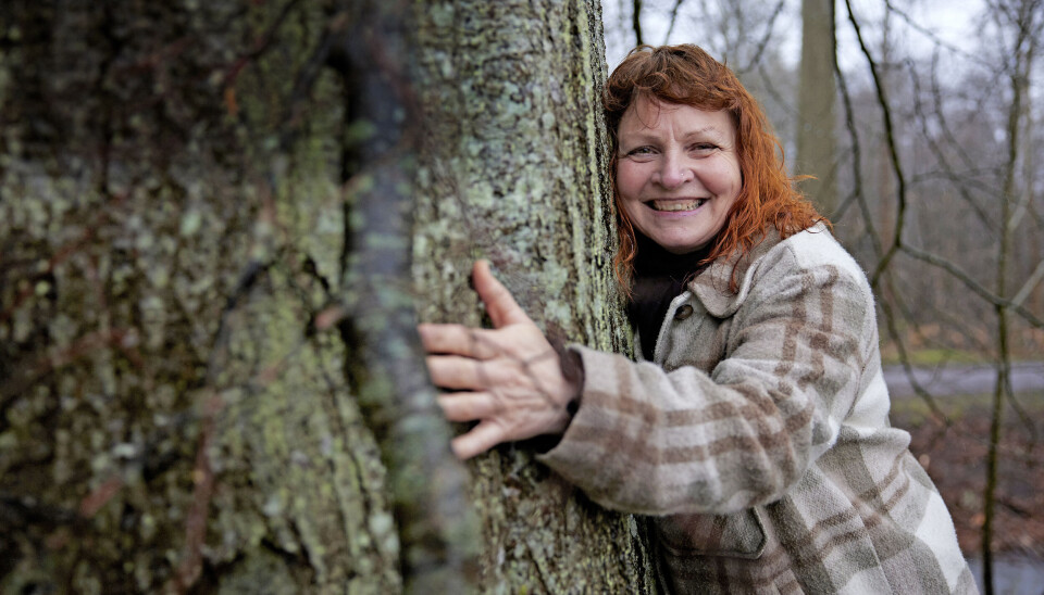 'Alene i vildmarken' Sanne