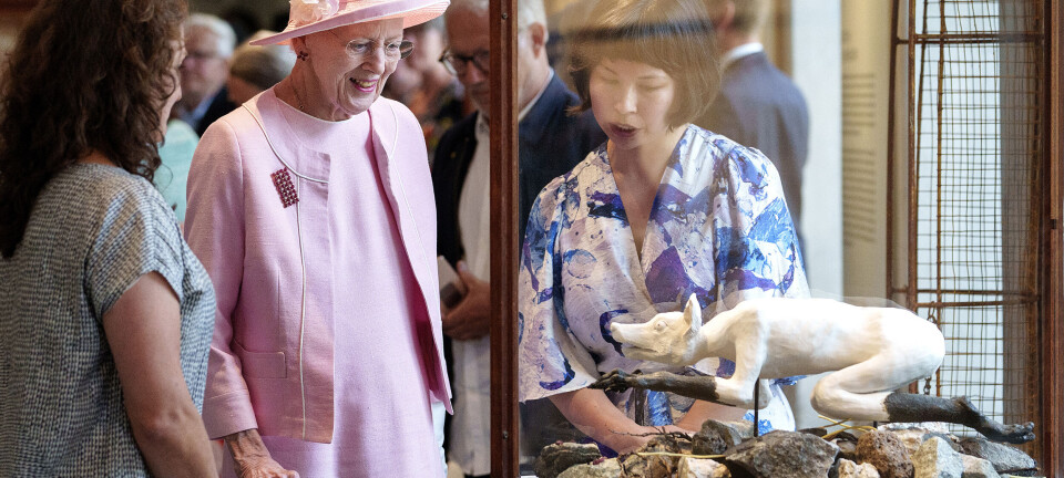 Ved besøget på Designmuseum Danmark
bar dronningen brochen med grønlandske
rubiner samt matchende rubinøreringe,
som hun havde fået i gave fra selvstyret i
anledning af sin 80-års fødselsdag.