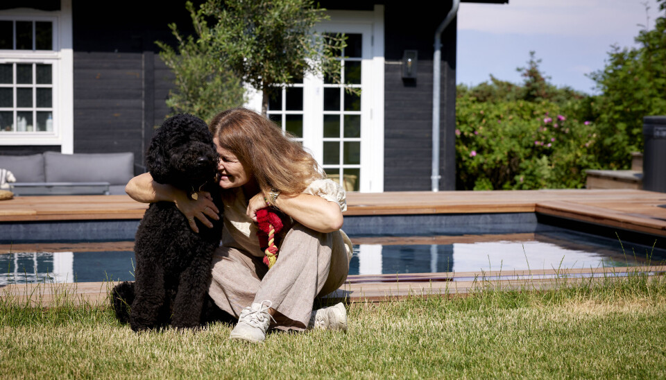 Cooper hopper hverken i
sommerhusets
pool eller i
havet. – Han har ikke
underpels,
som er vandafvisende,
og hans hud
tørrer ud, så
han skal ikke i
vandet.