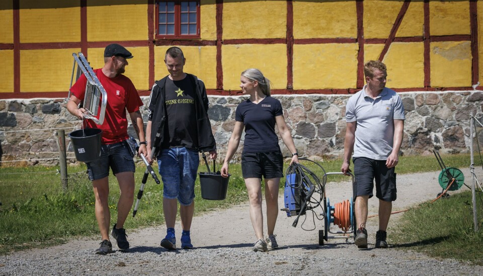 Christian, Dennis, Linea og Jens i 'Landmand søger kærlighed' i sæson 10.