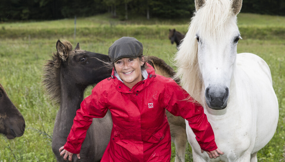 Sanne bor side om side med sine islænderheste,
som hun avler i sin fritid. Til daglig arbejder hun som
salgschef i Hornsyld Købmandsgaard