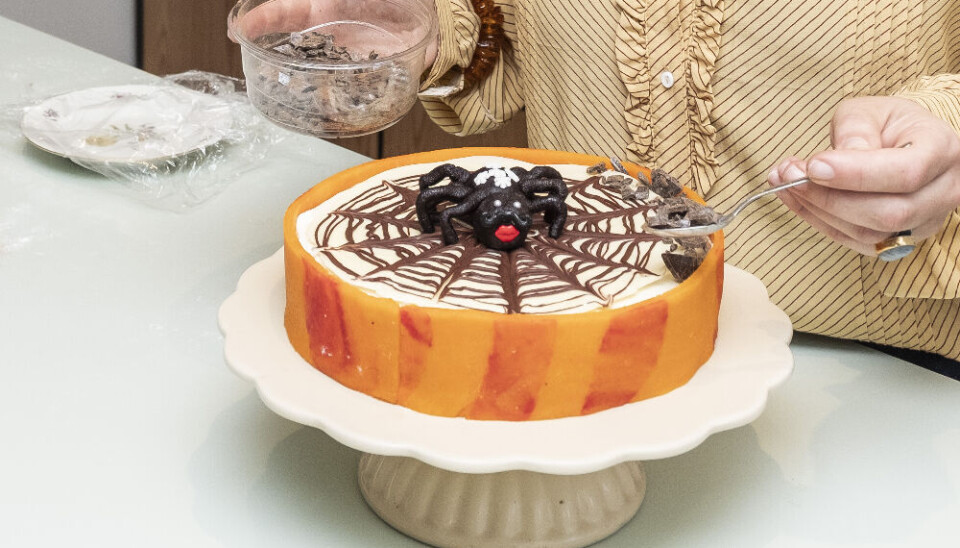 Pernille fra "Den store bagedyst" 2015, DR1 Pernille Stigsgaard Morthensen