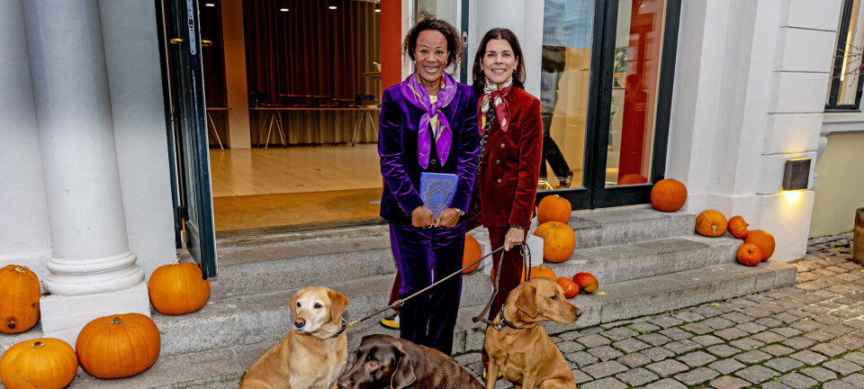 Hella og Ellens skønne eftermiddag: Hundetræf