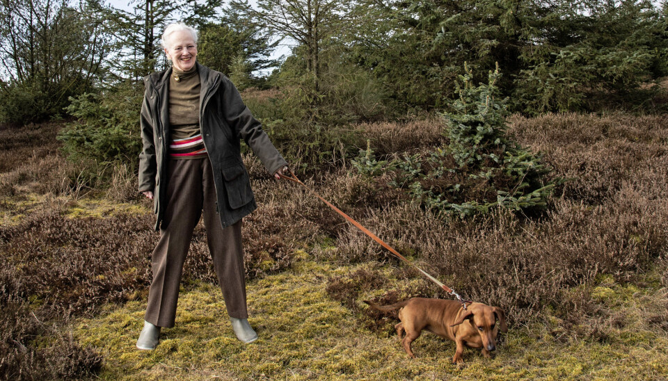 Dronningen med sin tro følgesvend, den snart 10-årige gravhund Tilia.