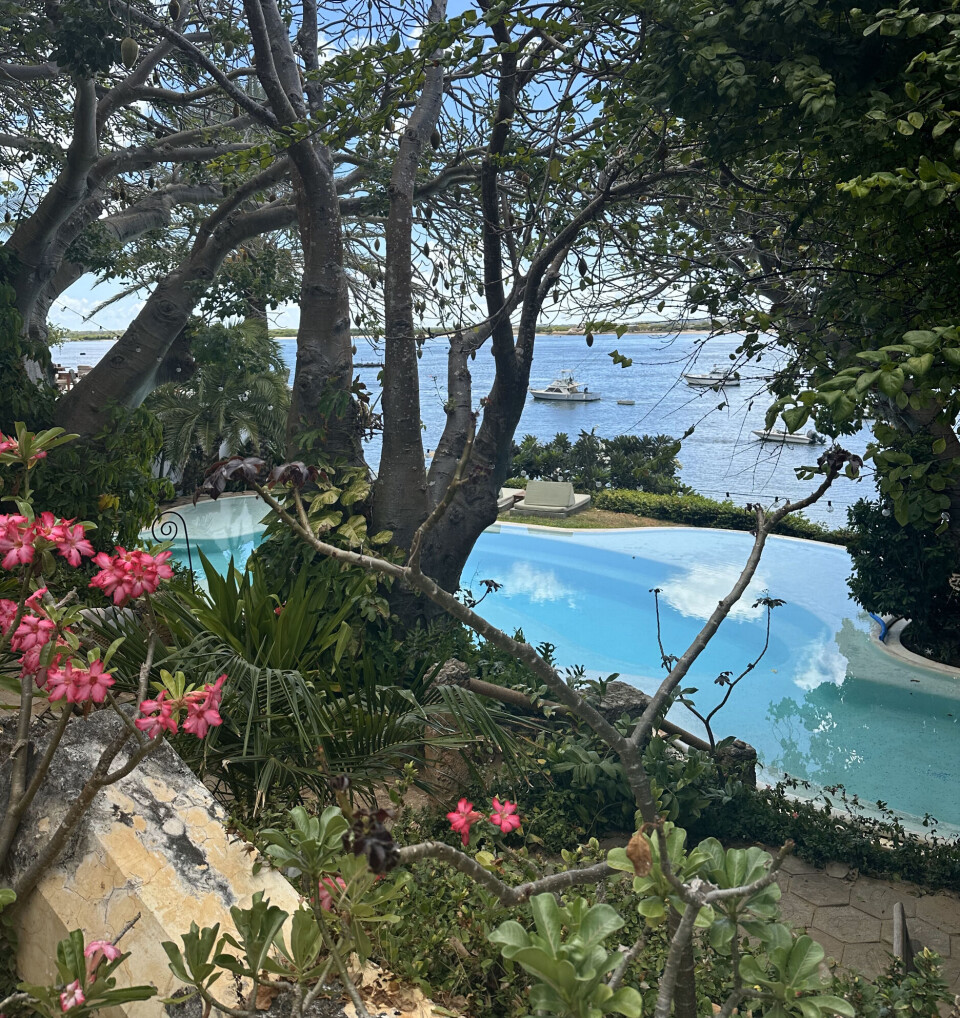 Udsigten fra parrets suite på Lamu.