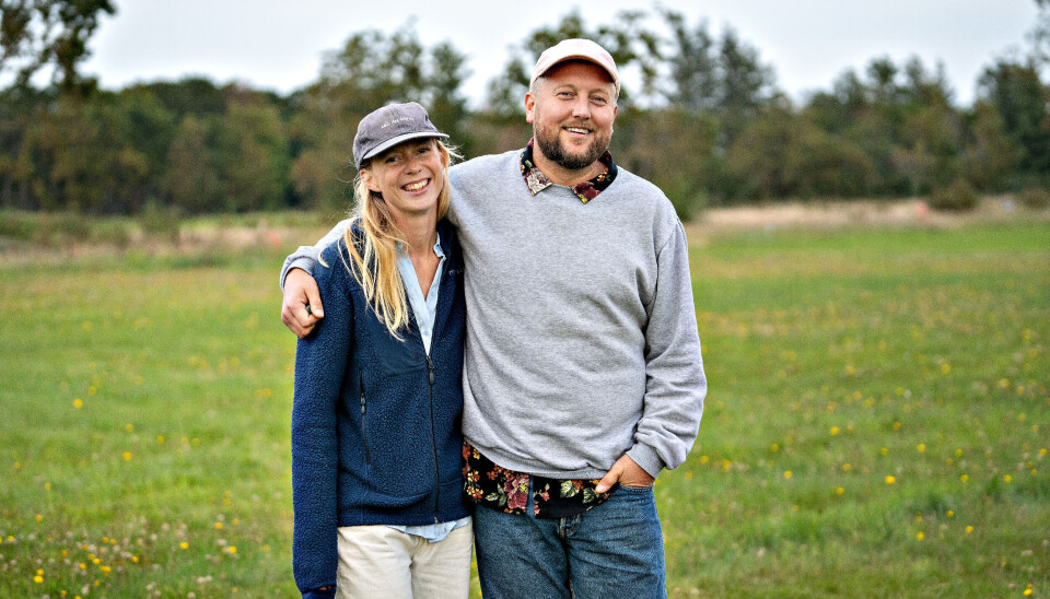 Sommerdrømme - Anna og Martin