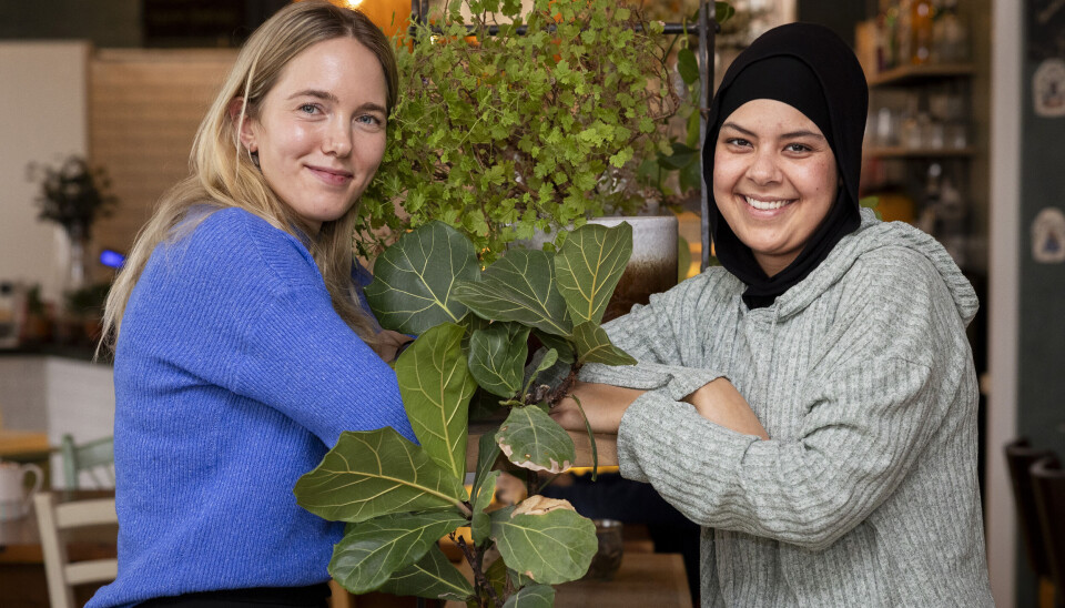 Emilie og Nadine ville tage rejsen en gang til, hvis de kunne, selvom det var hårdt. – Hvis der kommer en allstars-sæson af 'Først til verdens ende', så er vi klar, lyder det.