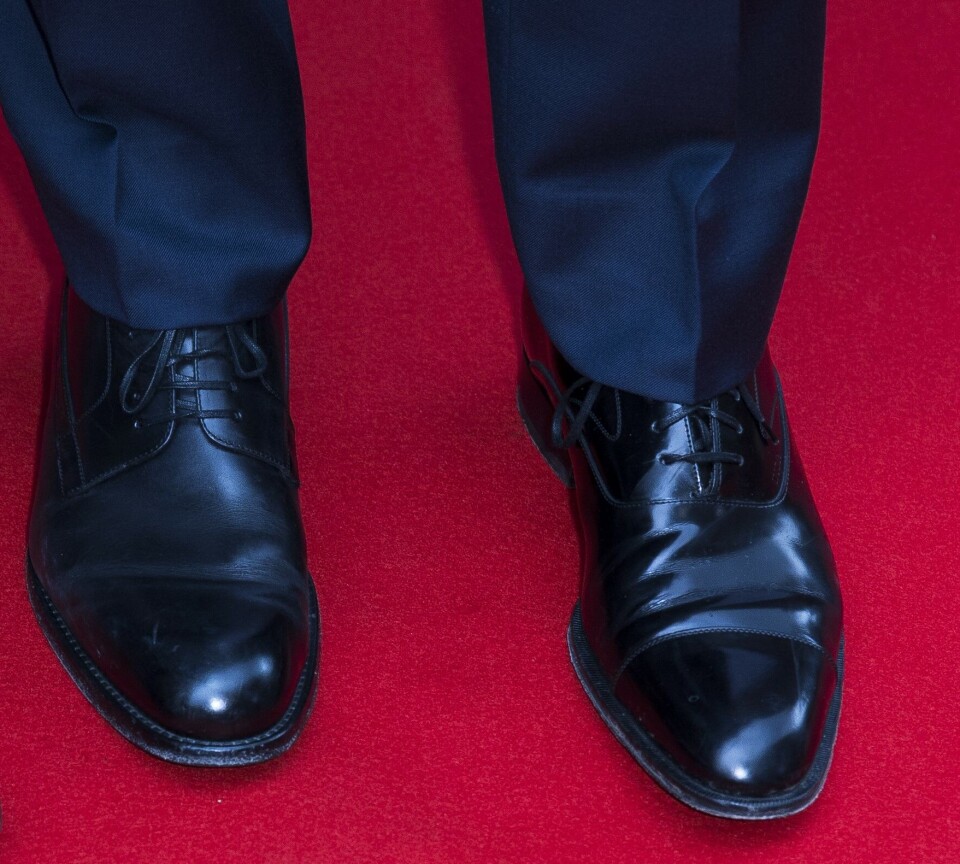 Ghitas skønne gensyn: Vild med Viggo