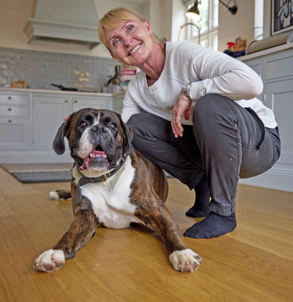 Inger er lige kommet fra træning med Jack, da HER&NU kigger forbi. – Vi går til træning i boxerklubben, så han kan lege med hunde på sin egen størrelse.