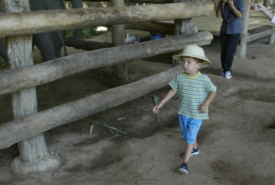 2003. Grev Nikolai i Maesa Elephant Camp i Thailand.