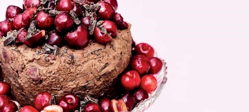 Honning-chokoladekage med kirsebærmousse