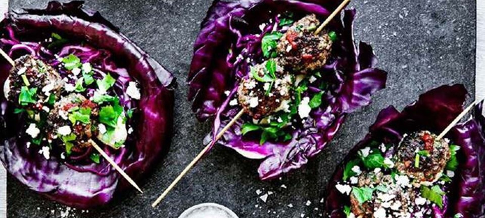 Kebab i rødkål