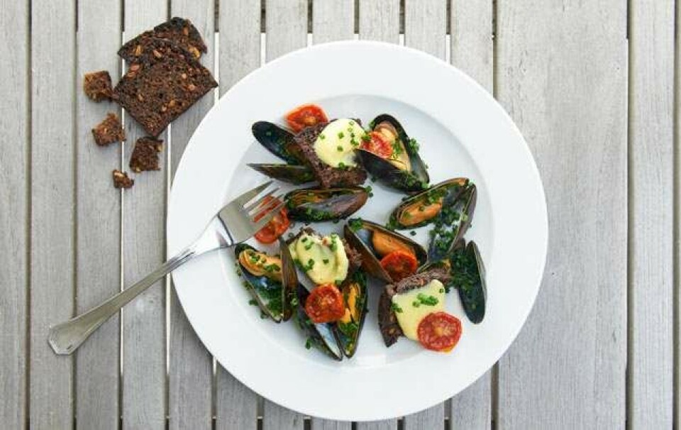 5 opskrifter med muslinger: Havets fastfood