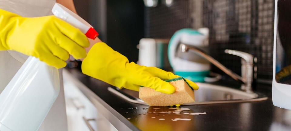 Guide: Sådan får du et rent og skinnende køkken