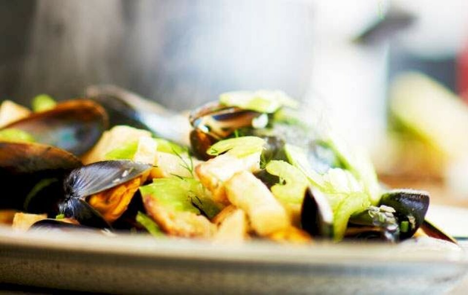 5 opskrifter med muslinger: Havets fastfood