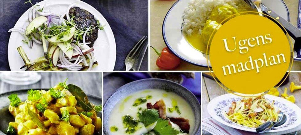 Nem carbonara med svampe, porre-kartoffelsuppe og boller i karry: Her er ugens madplan til dig