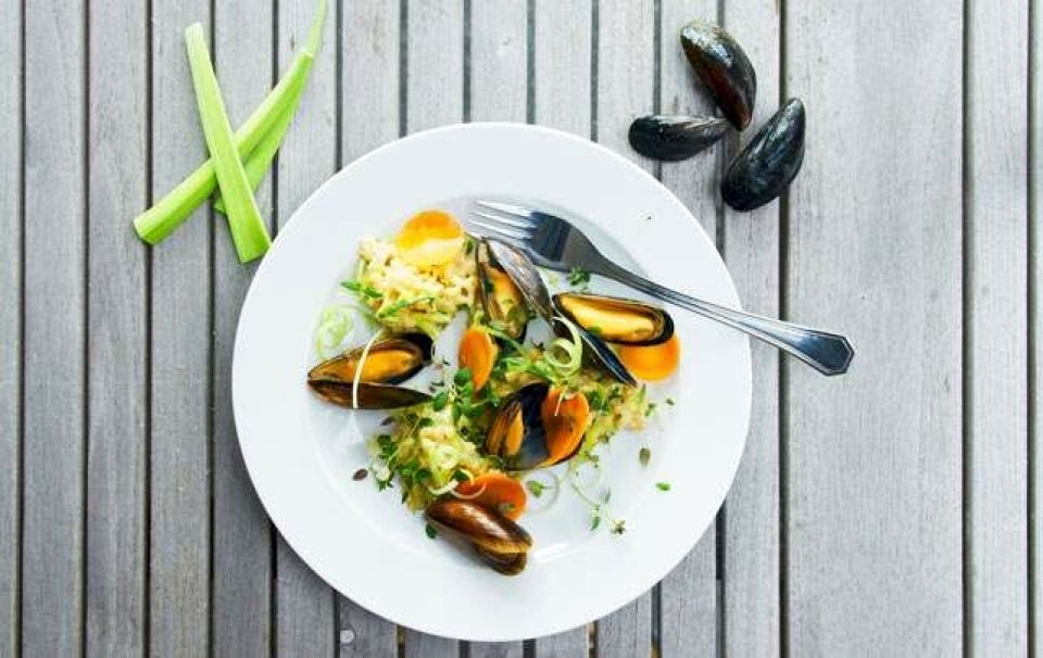 5 opskrifter med muslinger: Havets fastfood