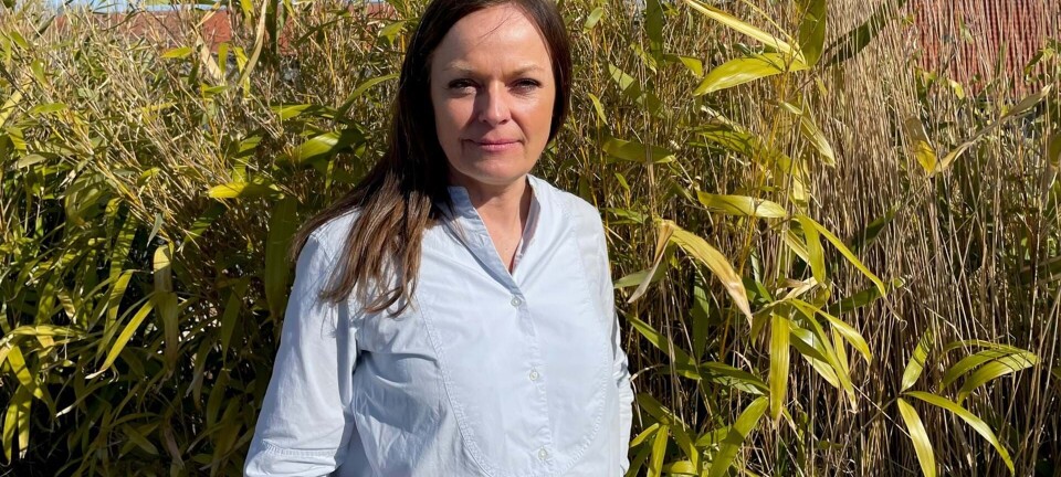 Min største frygt som forælder: ”Vi kan ikke beskytte vores børn mod alt”