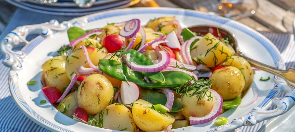 Kartoffelsalat med krydderurter