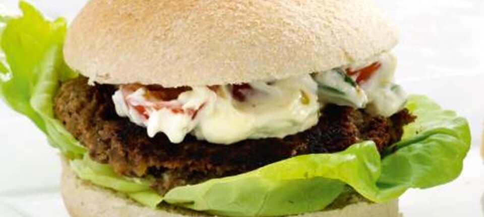 Linseburger med tzatziki
