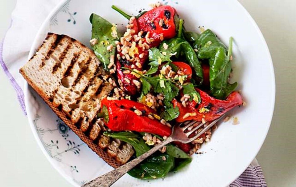 Opskrift på grillsalat med rød peber, perlespelt og citrondressing