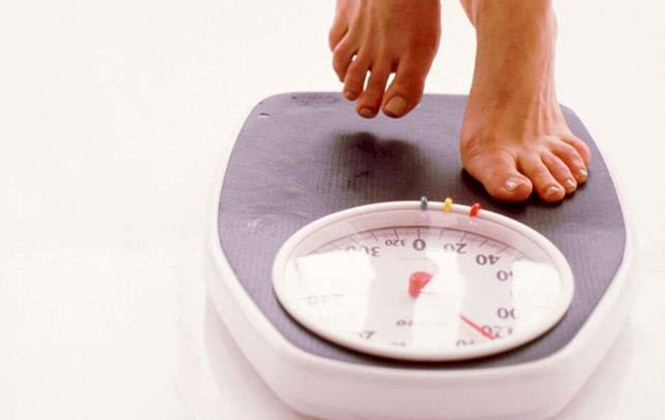 Kender du de 7 slanke-myter?