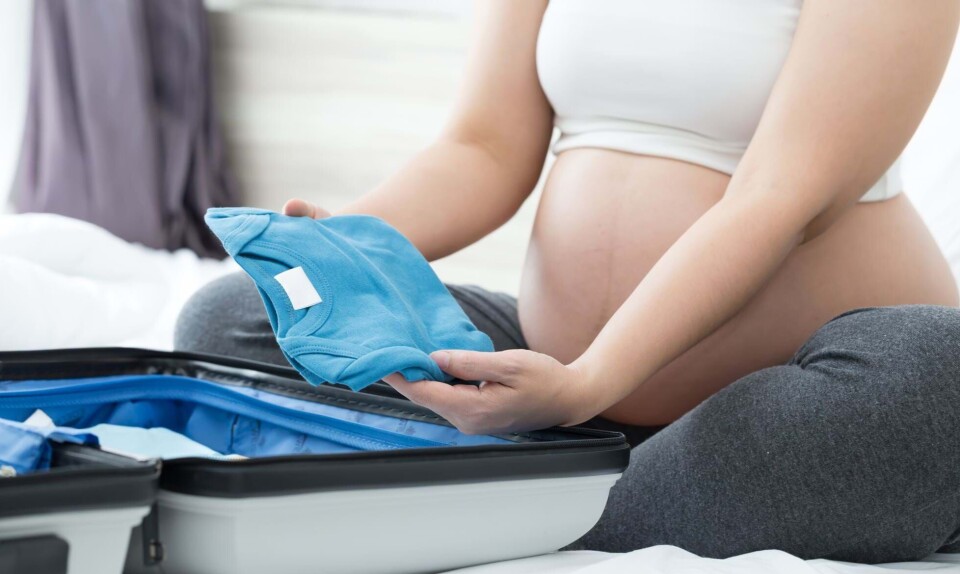Gravid i uge 37