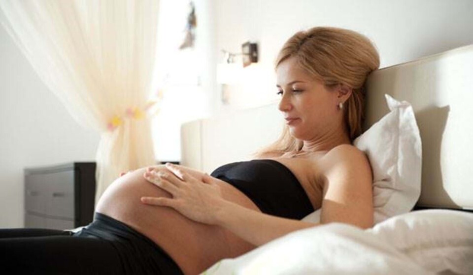 Gravid: Sådan genkender du en plukve