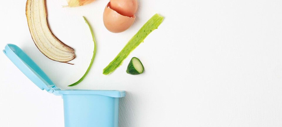 Guide: Sådan skal du sortere dit affald