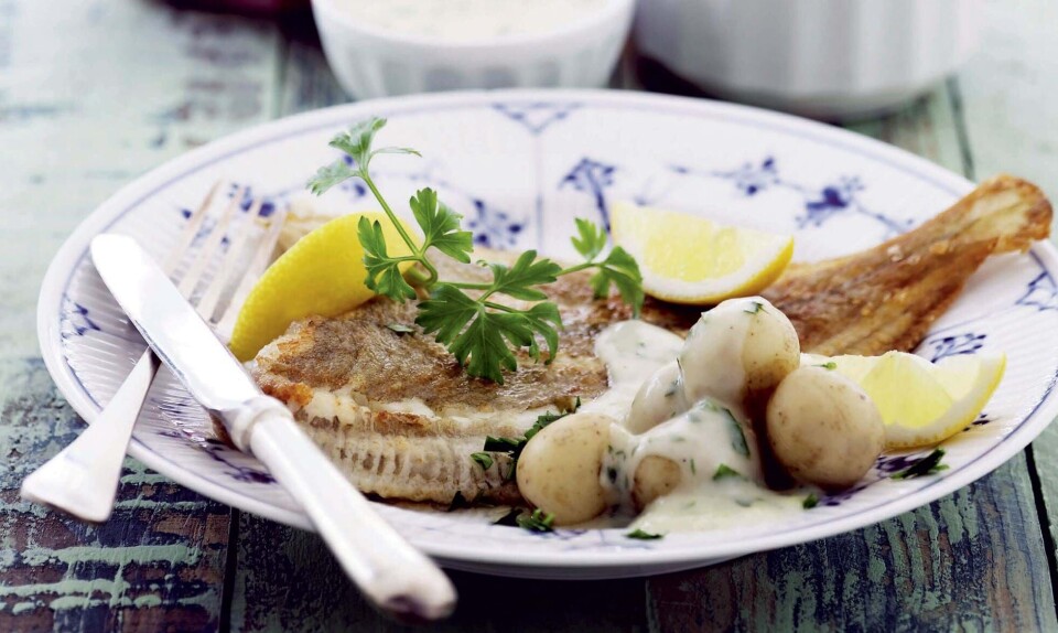 Rødspætte med nye kartofler og persillesauce