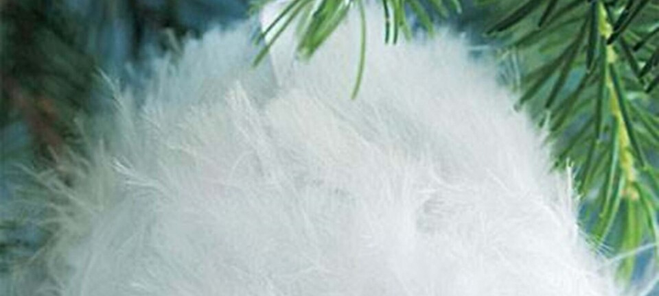 Flot og kreativ julekugle med fjer