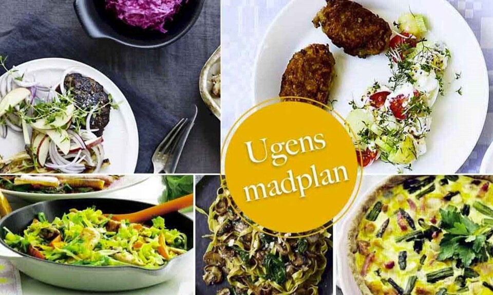 nem aftensmad madplan