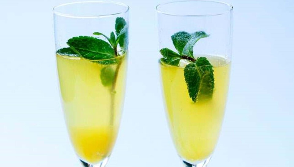 Velkomstdrink: Bobler med ingefær, citrus og mynte