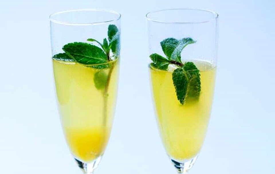 Velkomstdrink: Bobler med ingefær, citrus og mynte