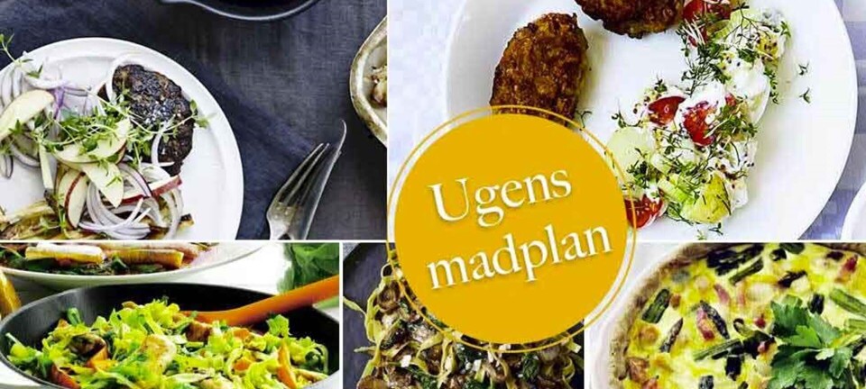 Frikadeller med sommerlig kartoffelsalat, nem grøn pasta & hakkebøffer med bagte rødder: Her ugens madplan til dig