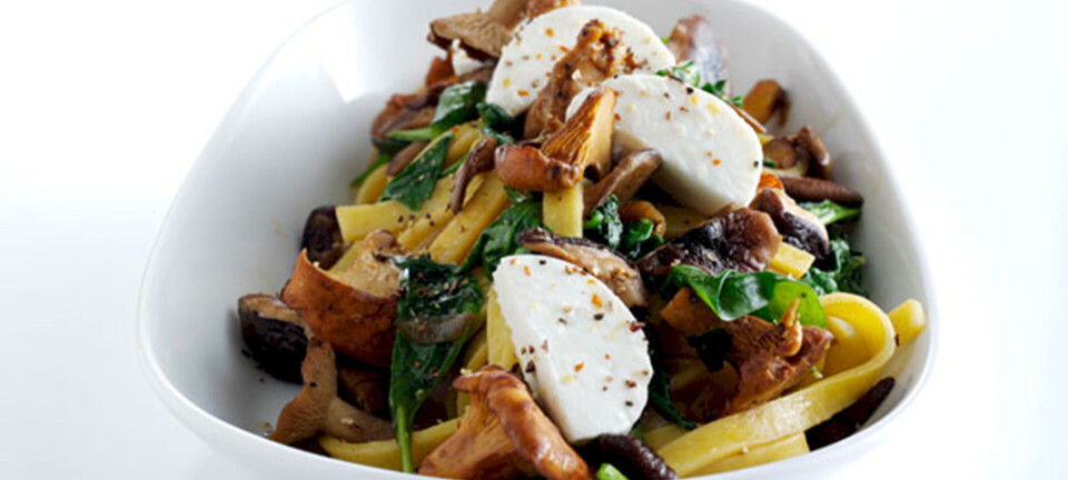 Madplan: Aftensmad på 20 minutter