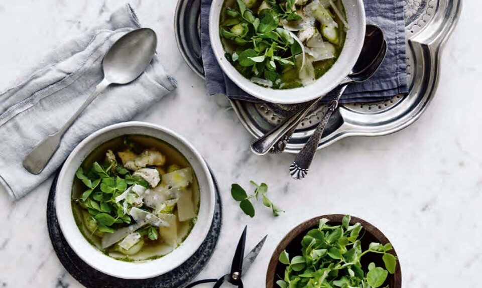 Forårssuppe med asparges og kylling