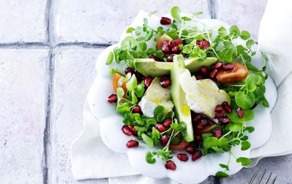 Opskrift på avocadosalat med granatæble og grillet castello