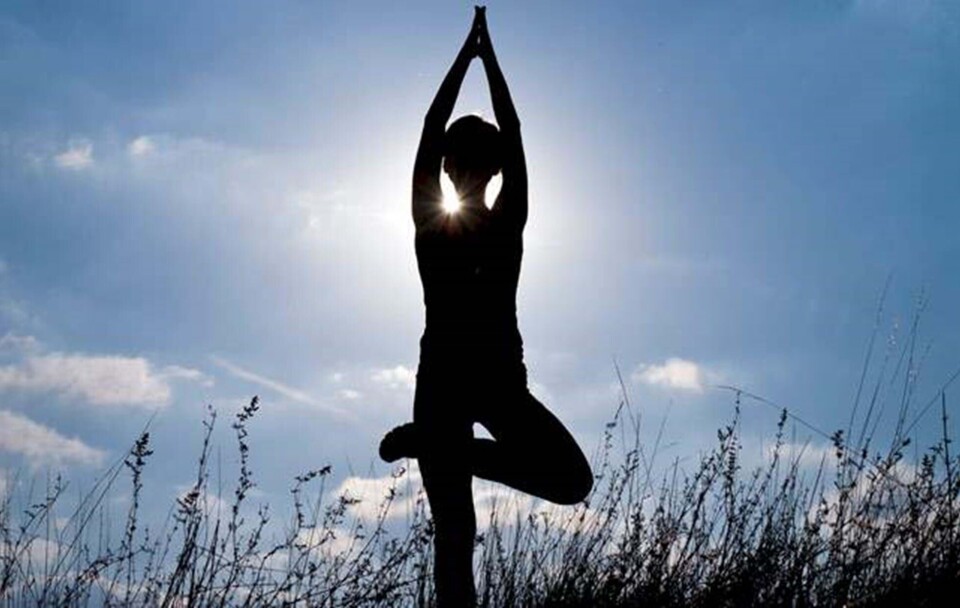 Mindfulness - godt eller skidt?