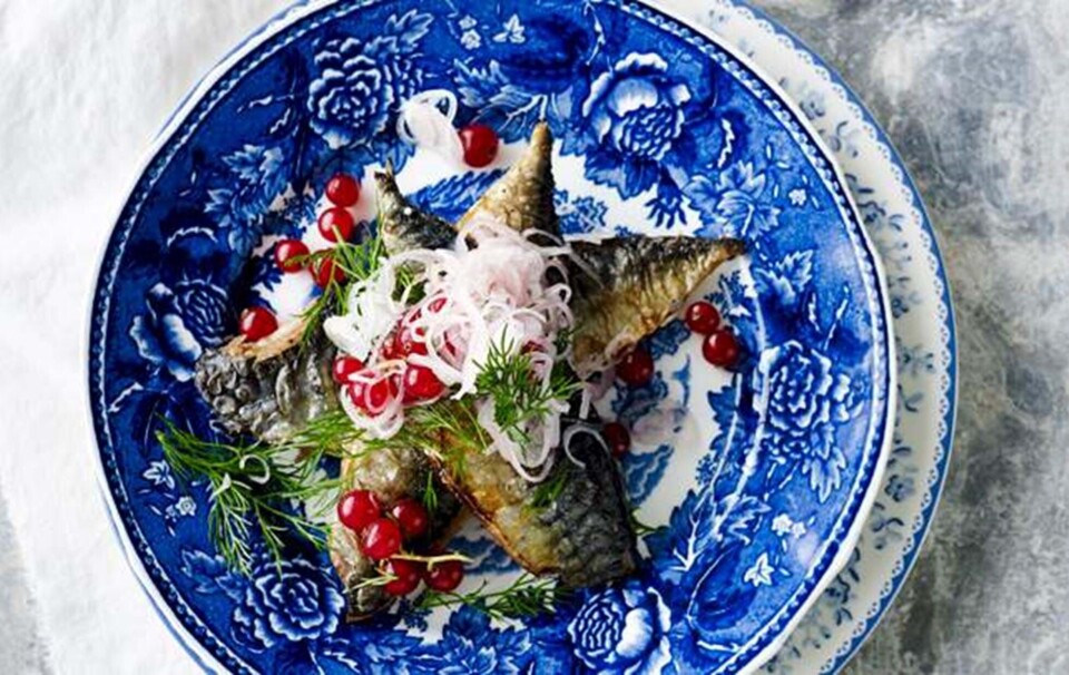 Lækker ristet makrel med ribs