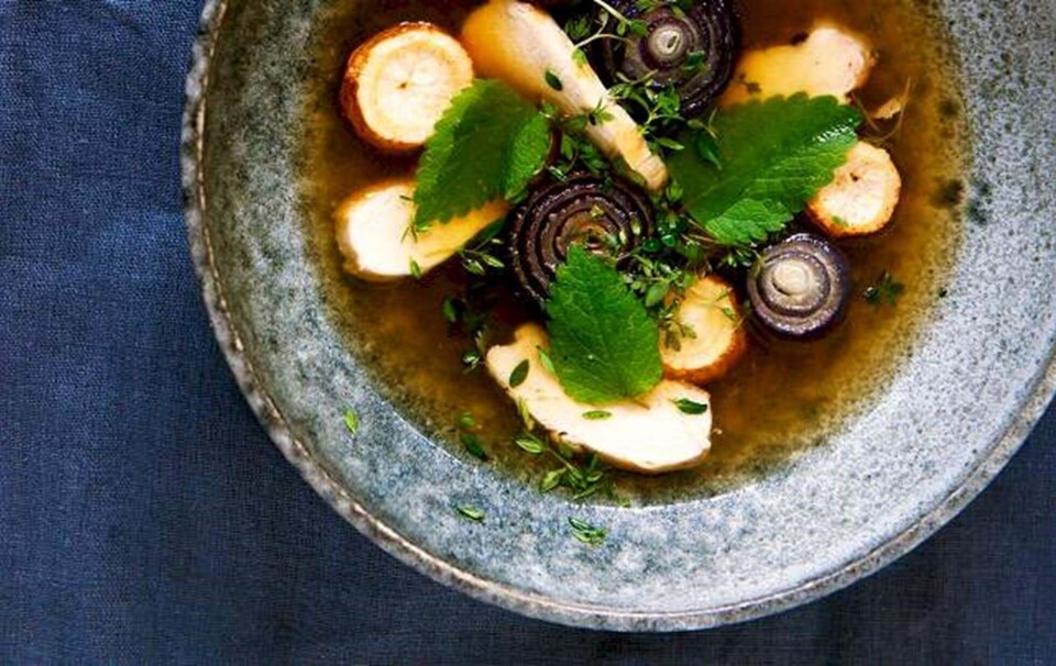 Nem hønsekødssuppe