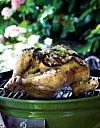 Grillkylling med citron og timian