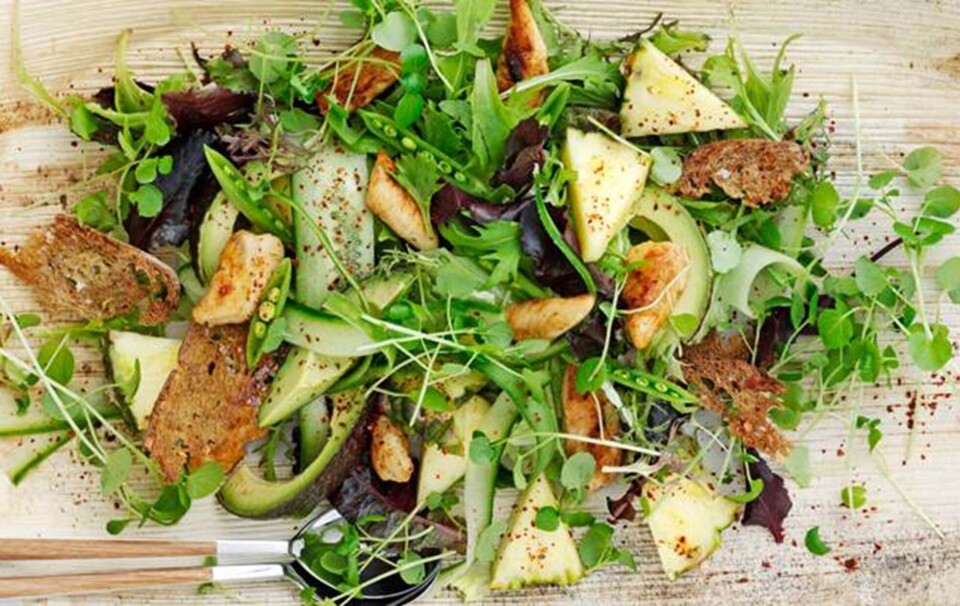 kyllingesalat med avokado