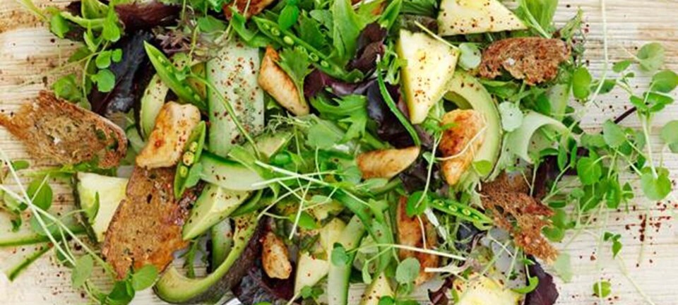 Kyllingesalat med avokado
