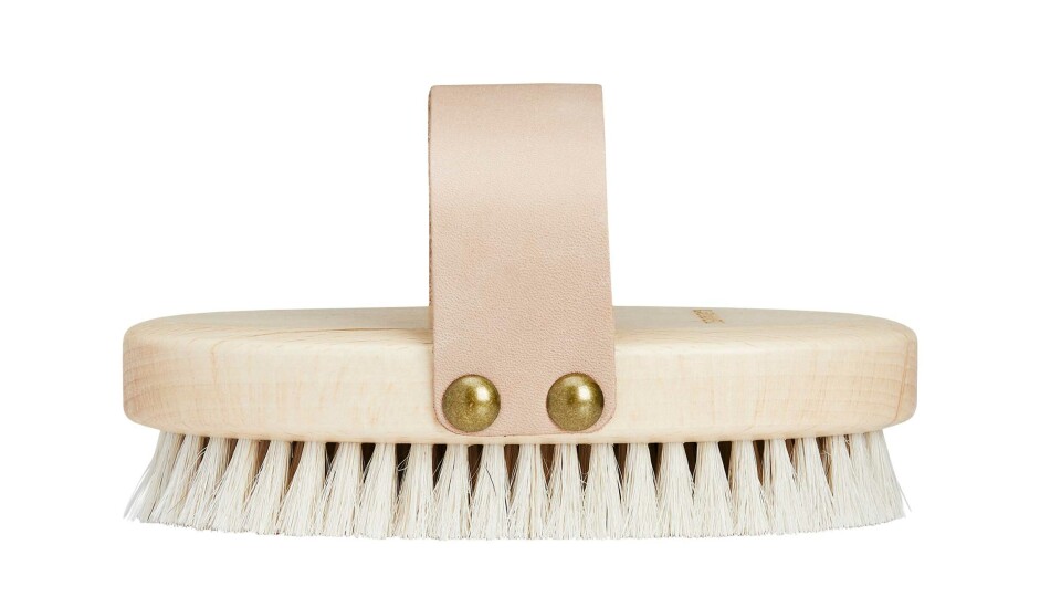 body_brush.jpg