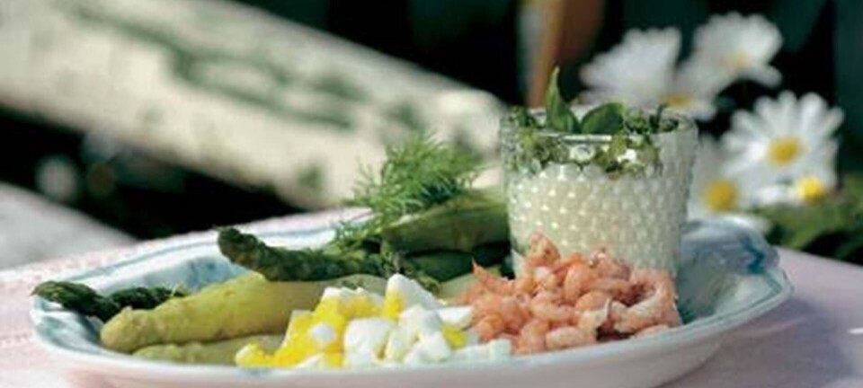 Slikasparges med fjordrejer og æg