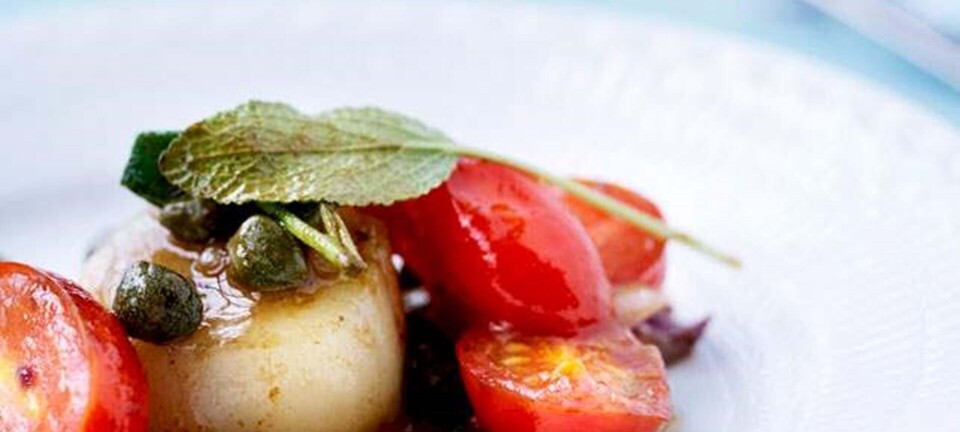 Kammuslinger med tomatkompot, kapers og salvie