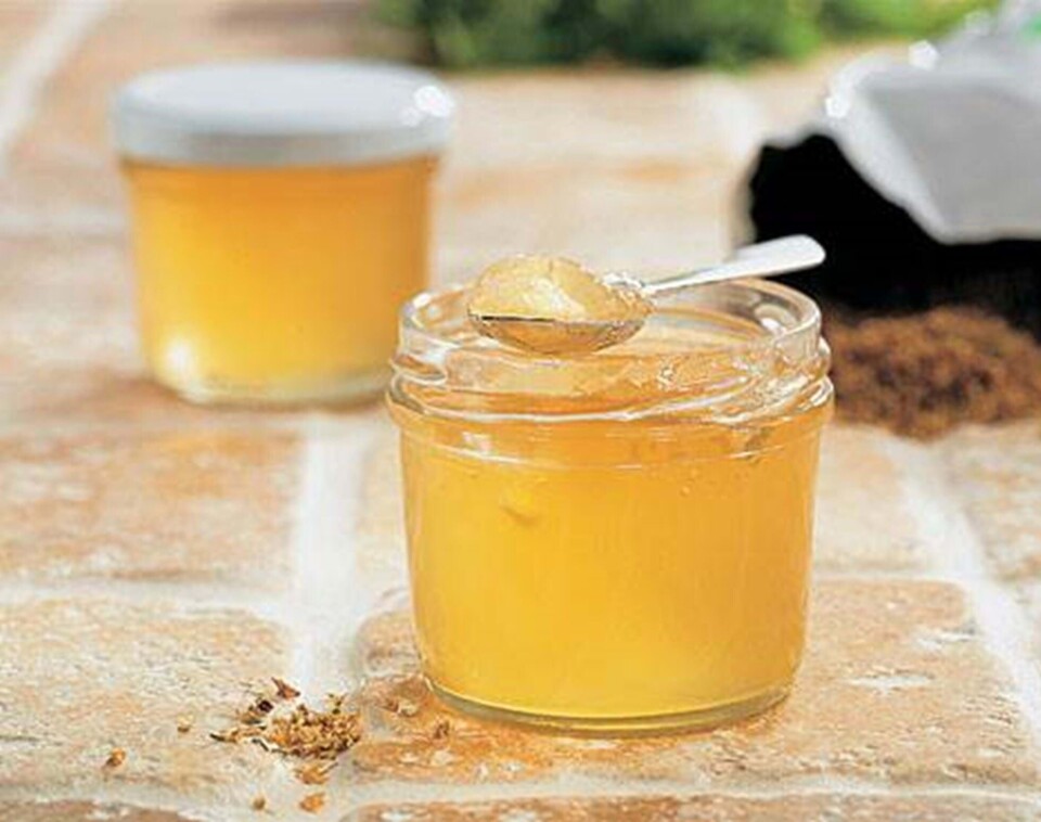 Stikkelsbærgelé med hyldeblomst