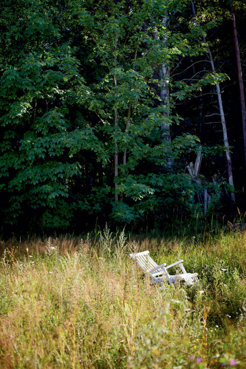 En god ven har foræret parret stolen, så de kan tage et hvil i skønne grønne omgivelser.