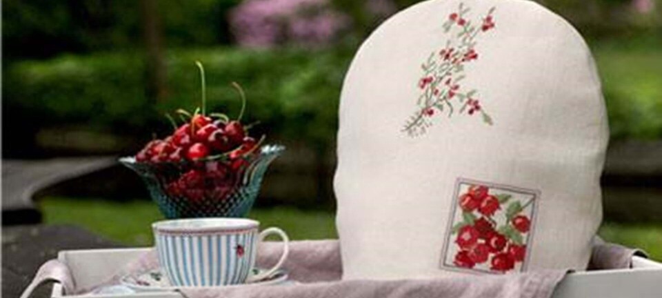 Månedens broderi: Bærbroderier